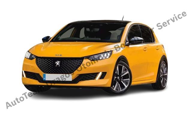 Kartal Peugeot Servisi